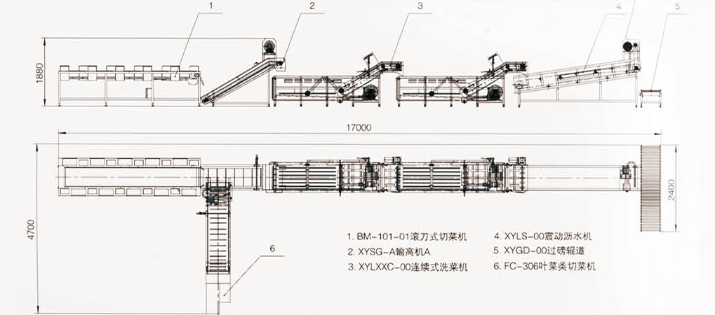 0000-全自動(dòng)連續(xù)式葉菜類(lèi)清洗線-2.jpg